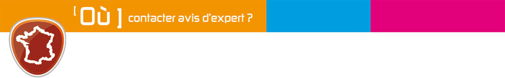 Où contacter Avis d'Expert ?